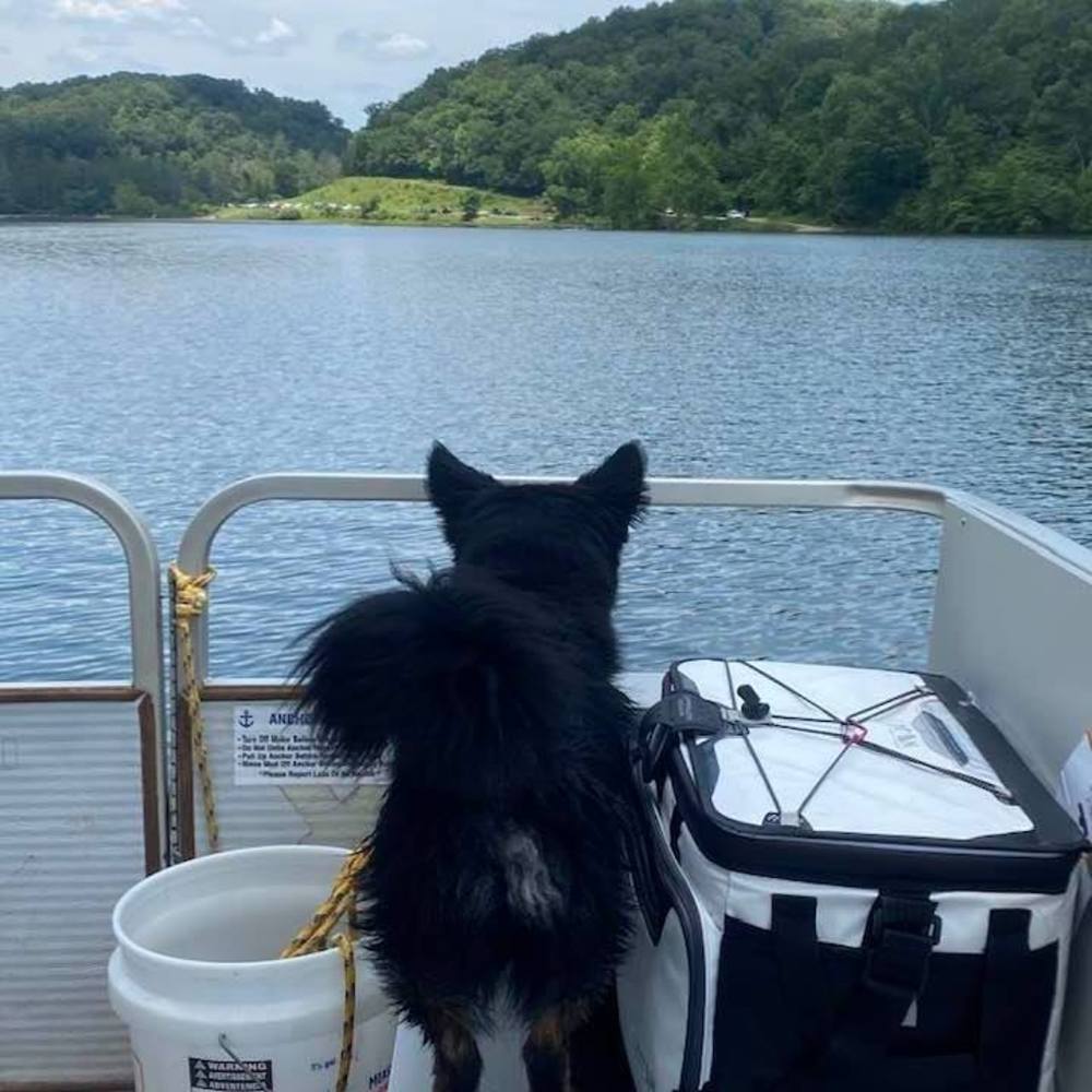 Meet your Posher, Judy